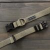 Wilder Dog | Trail Industries | Waterproof | Dog Collar
